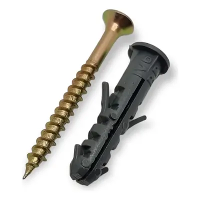 100 Parafuso Phillips C/ 100 Bucha 6 Anel 6mm- Total 200pçs